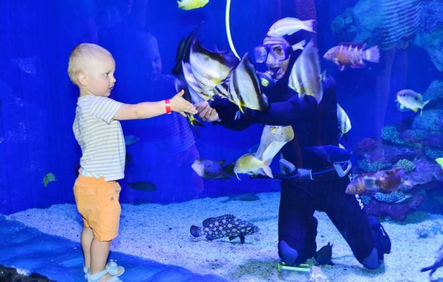 Hurghada Grand Aquarium