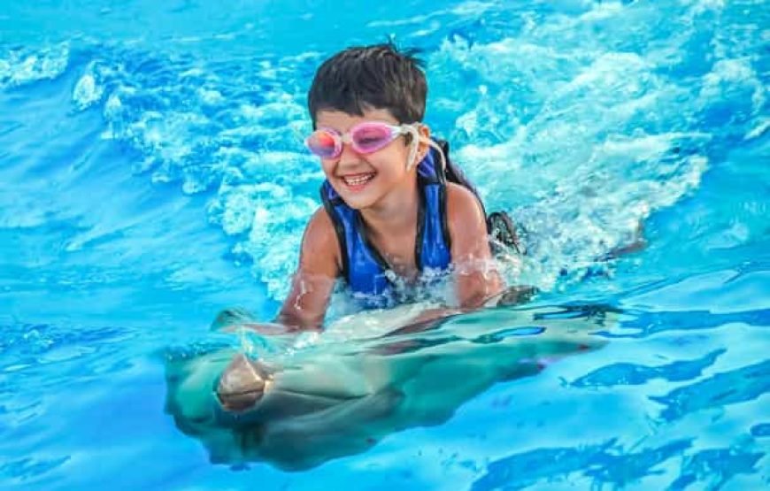 Swimming and Photo Session with Dolphins in Hurghada