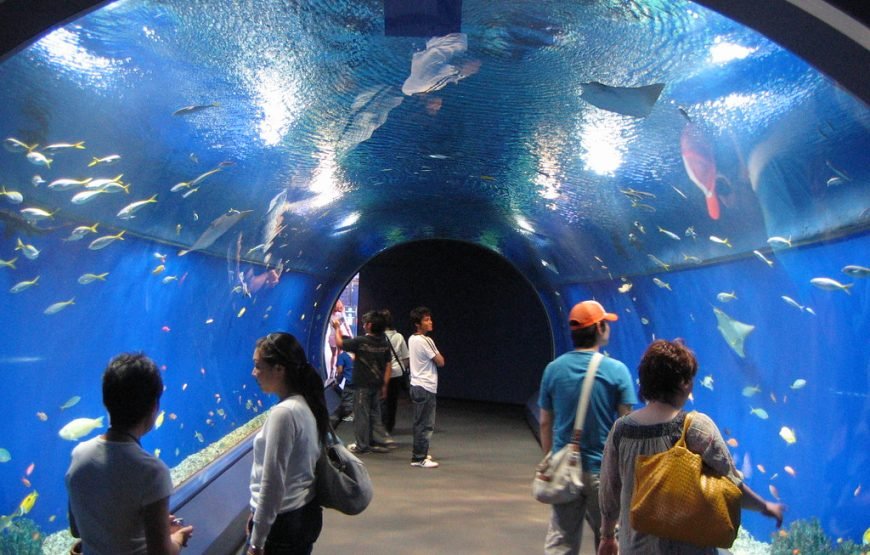 Hurghada Grand Aquarium