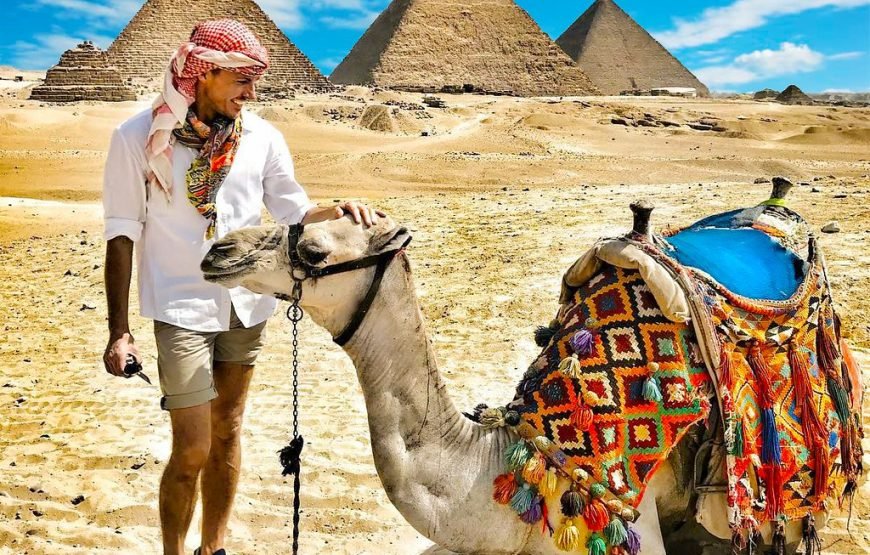 Pyramids and Egyptian Museum by bus From Marsa Alam