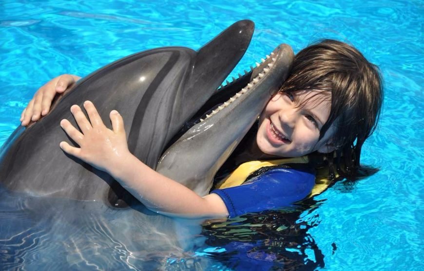 Swimming and Photo Session with Dolphins in Hurghada