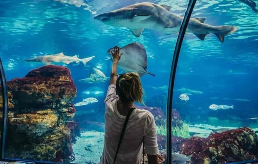 Hurghada Grand Aquarium