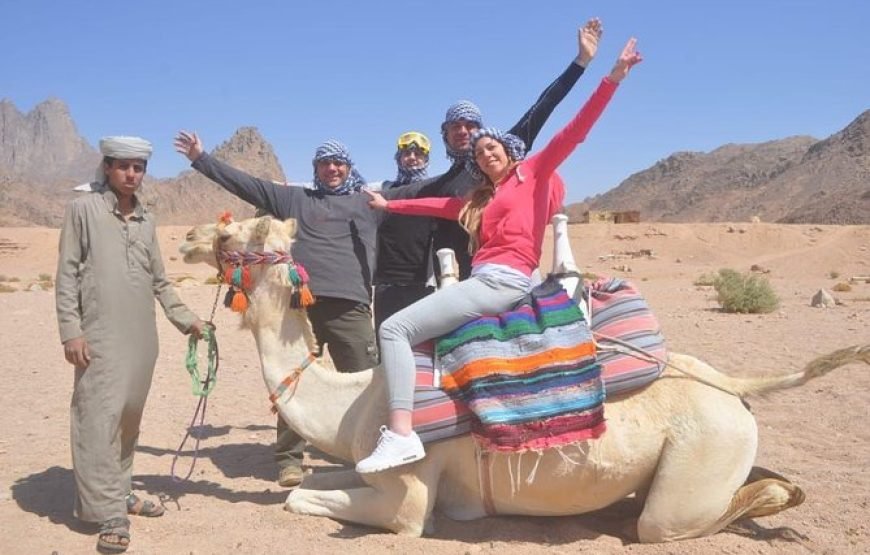 3 Hour Morning Quad Tour Hurghada