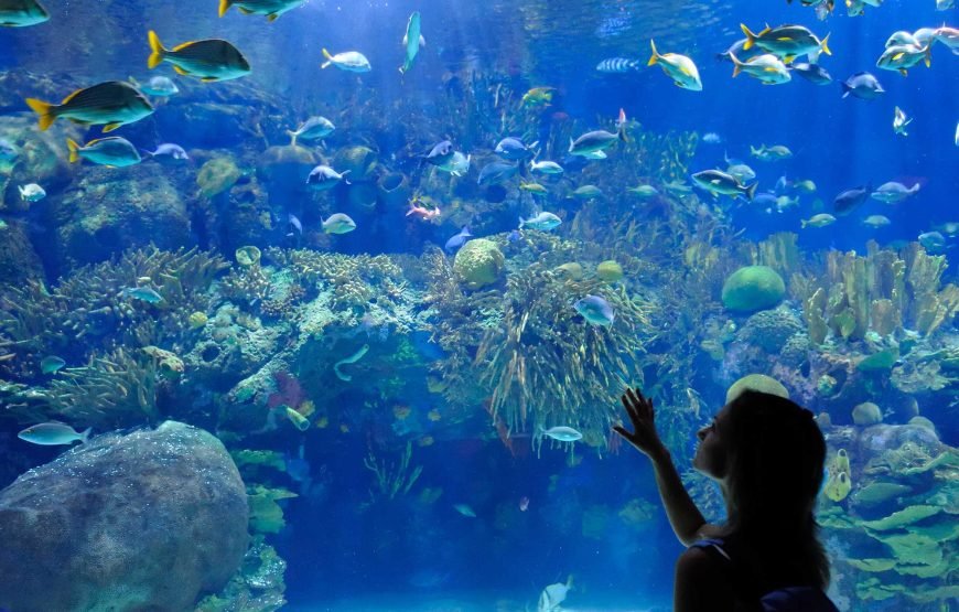 Hurghada Grand Aquarium
