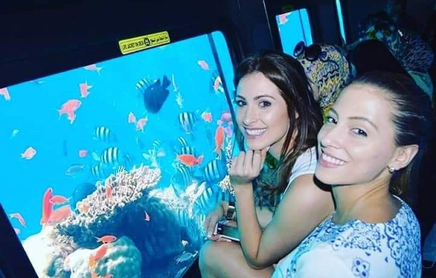 Royal Seascope semi submarine cruise with snorking