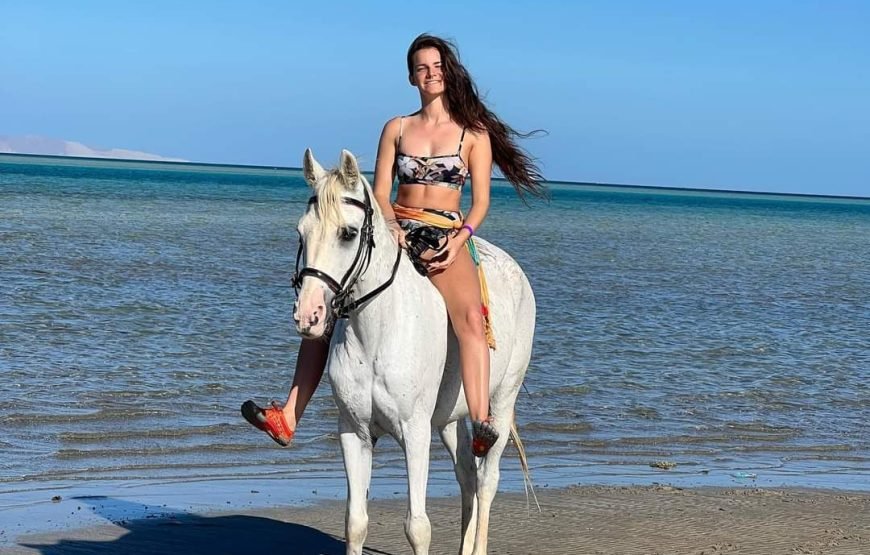 Hurghada: horseback riding adventure