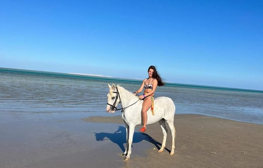 Hurghada: horseback riding adventure