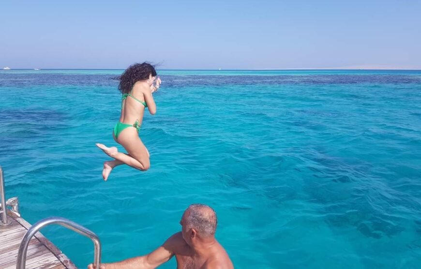 Dolphin House Snorkeling tour