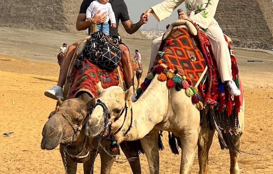 Vip Cairo Pyramids and egypation National Museum