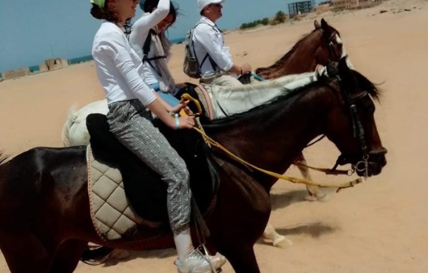 Hurghada: horseback riding adventure