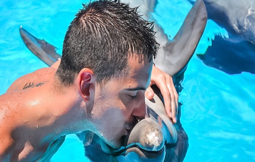 Photo season with Dolphins