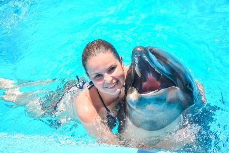 Photo season with Dolphins