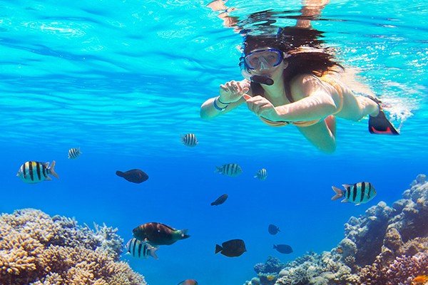 Why Snorkeling in Egypt Should Be on Your Bucket List