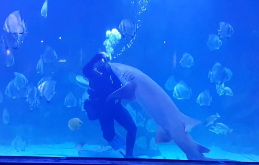 Hurghada Grand Aquarium