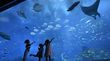 Aquarium Hurghada