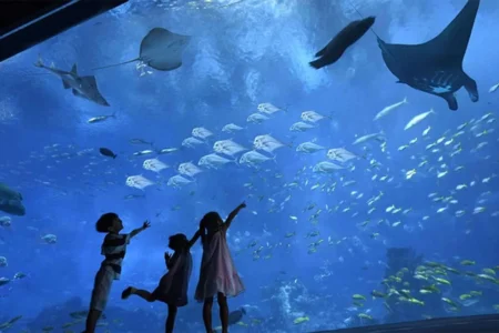 Aquarium Hurghada