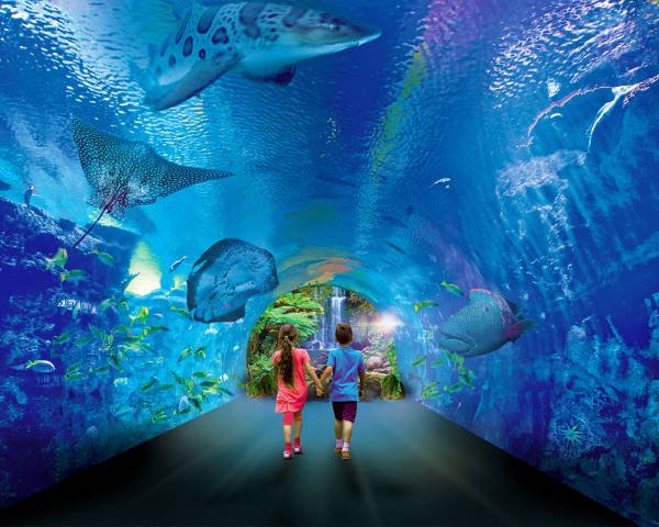 Aquarium Hurghada