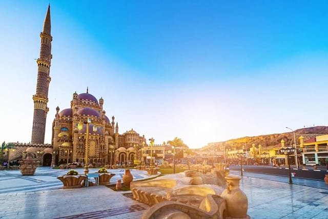 Cultural Tours and City Sightseeing