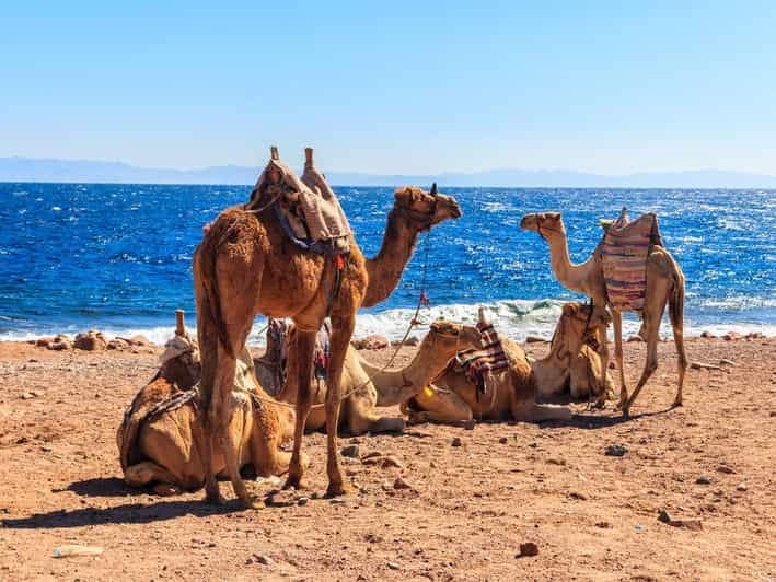 Dahab Day Trip