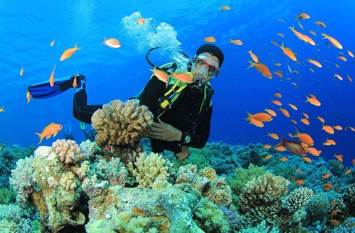 Diving in Marsa Alam