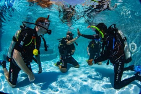 Diving in marsa alam egypt​