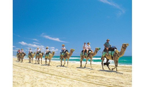 Excursions in Sharm El Sheikh Egypt
