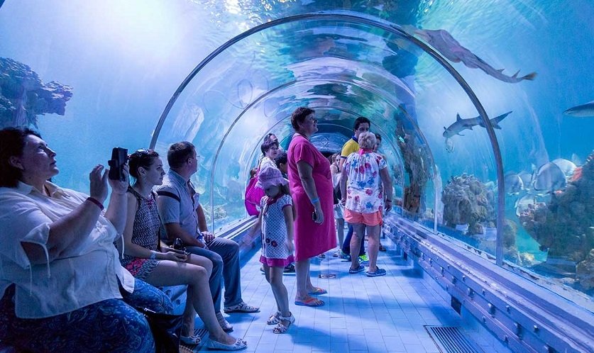 Hours, Tickets and Accessibility at Aquarium Hurghada
