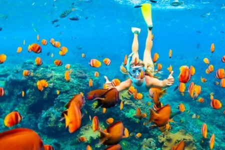 Hurghada Tours