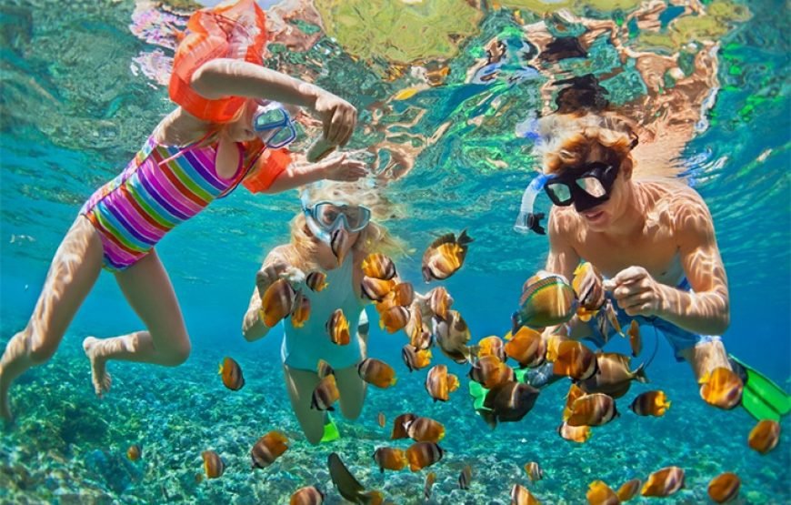 Red Sea Snorkeling and Diving