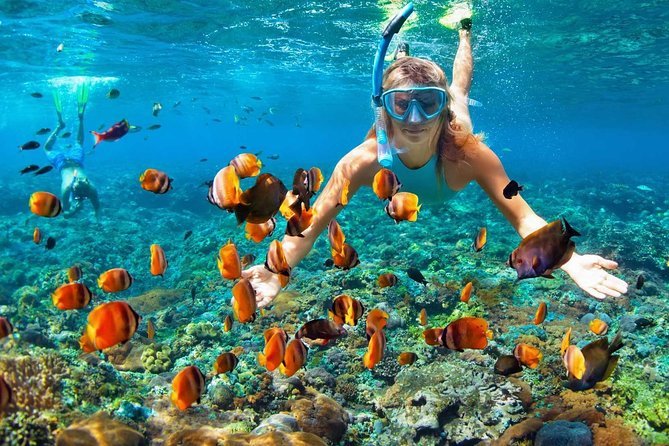 Snorkeling, Diving and Marine Parks