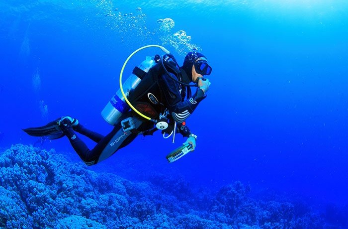 When to Dive Marsa Alam