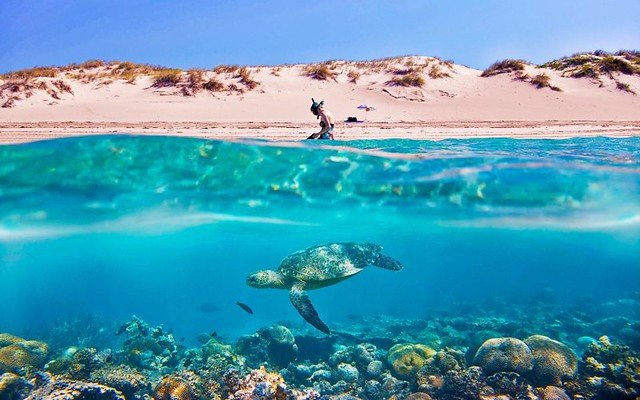 Why Take a Hurghada Trip to Cairo