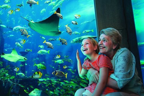 Discover Hurghada Aquarium Egypt