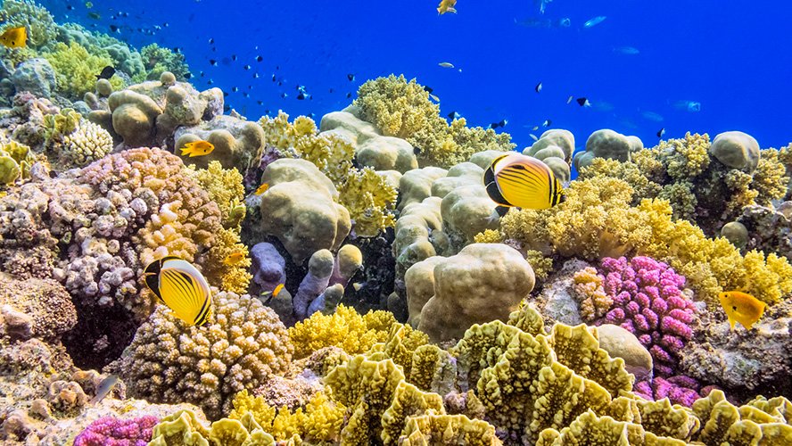 Marsa Alam Egypt journey