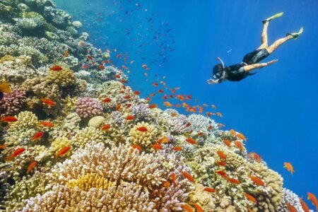 Marsa Alam Snorkeling Trips