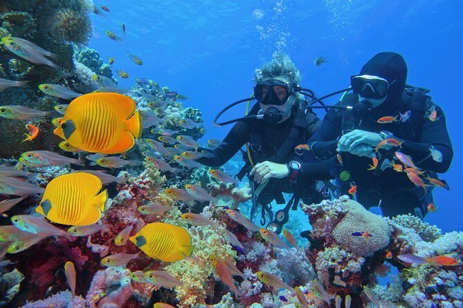 Snorkeling Marsa Alam Egypt