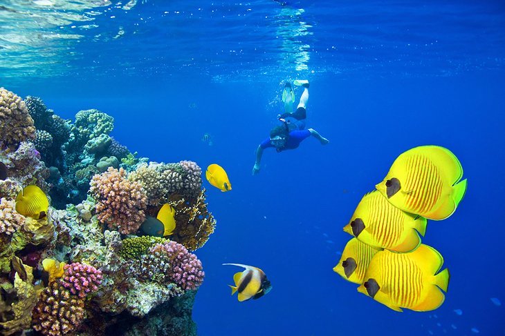 Snorkeling Marsa Alam