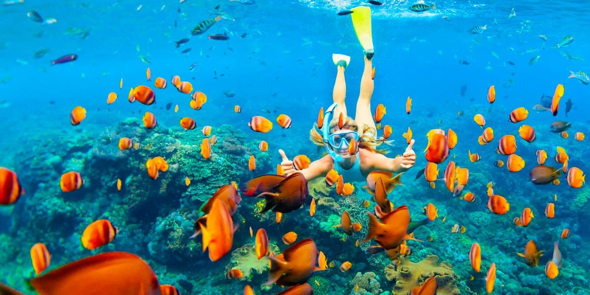 Snorkeling Tours in Hurghada