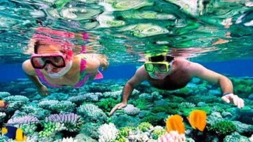 Snorkeling a Marsa Alam
