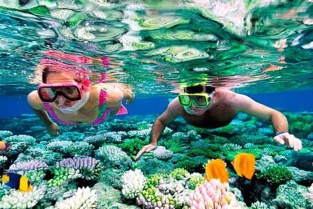 Snorkeling a Marsa Alam