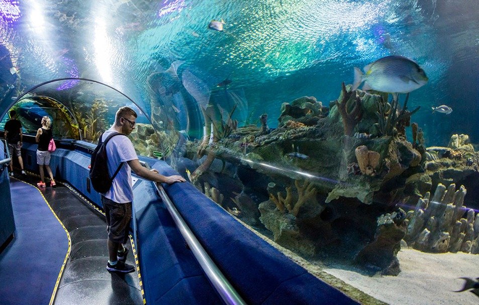 The Aquarium in Hurghada A Must-See Attraction