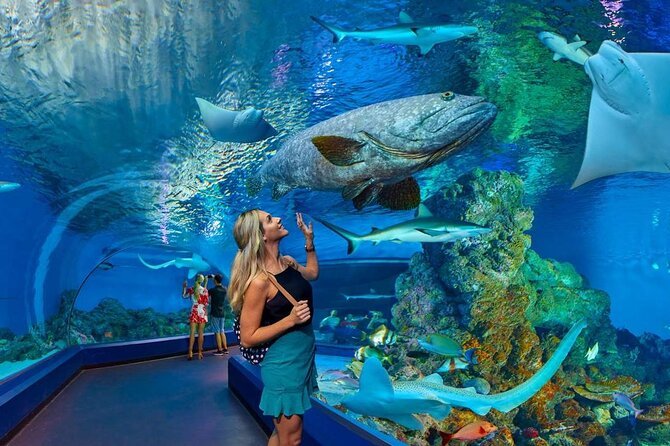 Things to Do in Hurghada