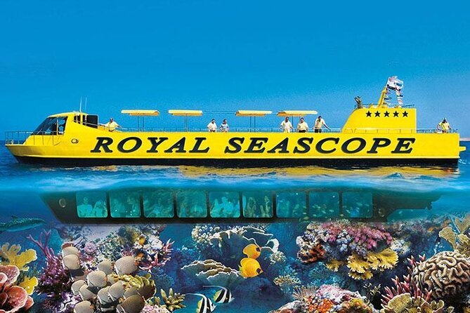 Underwater Wildlife and Scenic Views