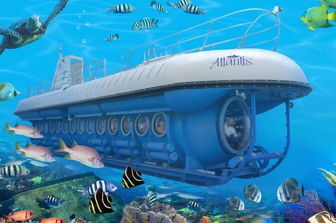 Who Should Take a Submarine Tour