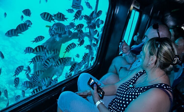 Why Families Love the Hurghada seascope semi submarine