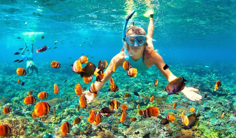 Why Marsa Alam is the Ultimate Snorkeling Haven