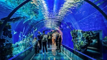 aquarium hurghada egypt