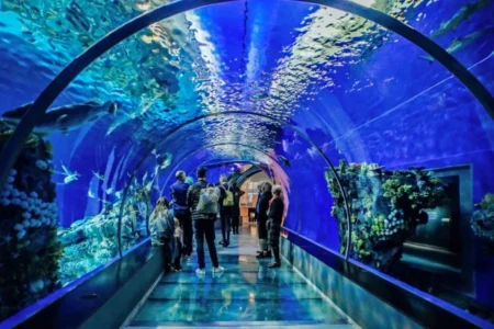 aquarium hurghada egypt