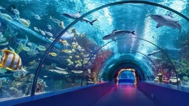 aquarium hurghada price