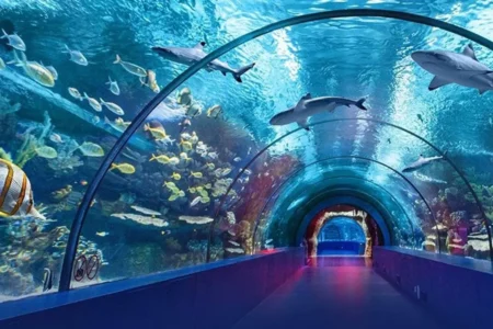 aquarium hurghada price